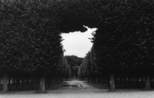 intro image of black and white park entrance