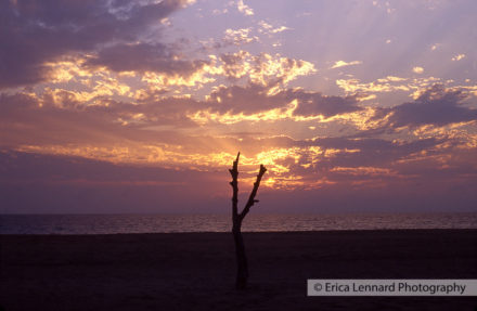 Cuixmala, Mexico