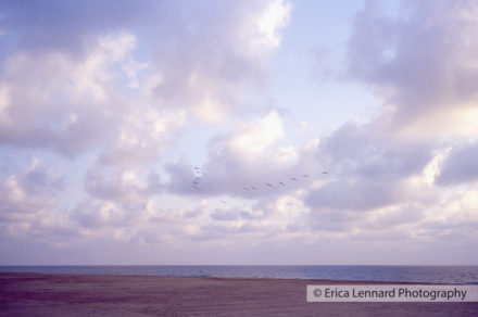 Cuixmala, Mexico