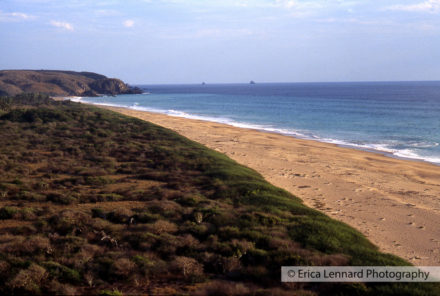 Cuixmala, Mexico