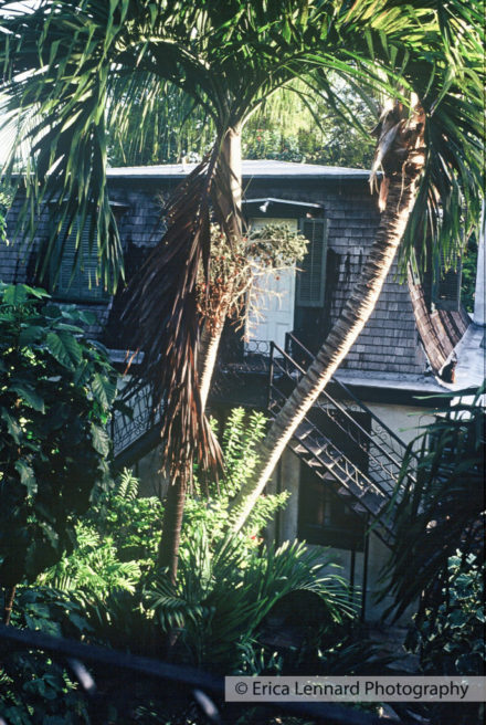 Ernest Hemingway Home, Key West, FL