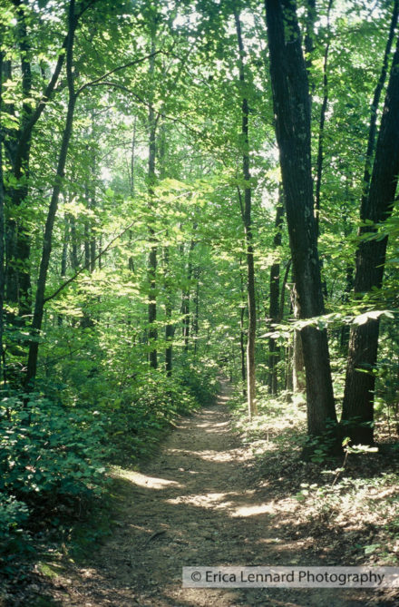 Robert Frost: The Robert Frost Farm, Derry, New Hampshire