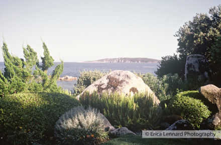 Erik Borja Garden, Corsica