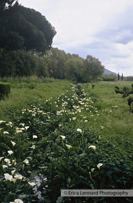 Ninfa, Italy