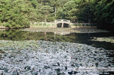 Ryoan-ji, Kyoto