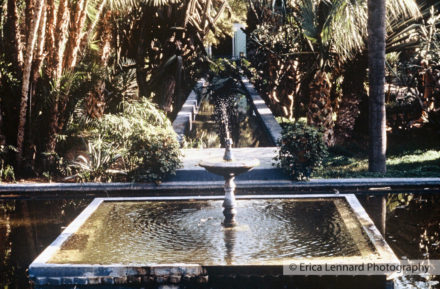 Majorelle Marrakech Morocco