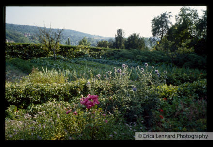Joan Mitchel Vetheuil France