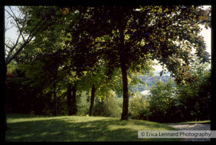 Joan Mitchel Vetheuil France