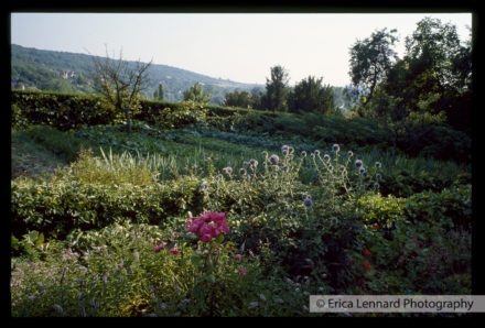 Joan Mitchel Vetheuil France
