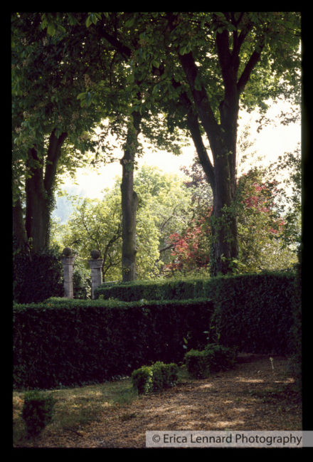 Joan Mitchel Vetheuil France
