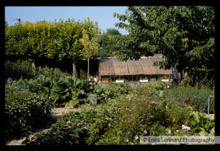 Joan Mitchel Vetheuil France
