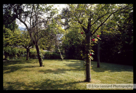 Joan Mitchel Vetheuil France