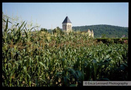 Joan Mitchel Vetheuil France