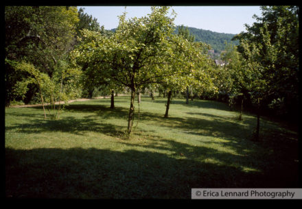 Joan Mitchel Vetheuil France
