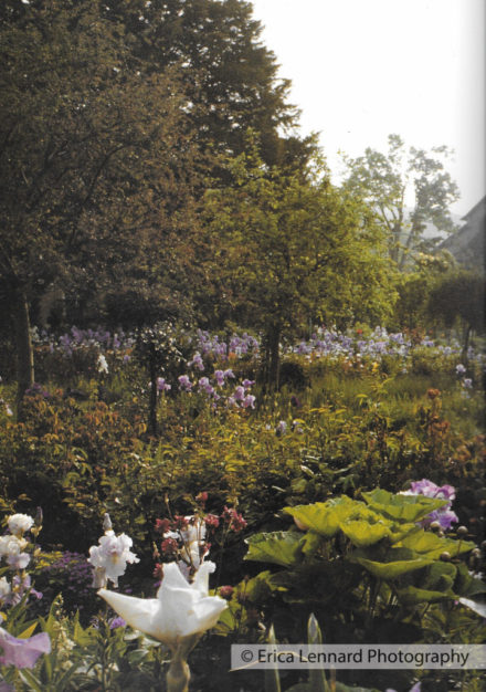 Monet
