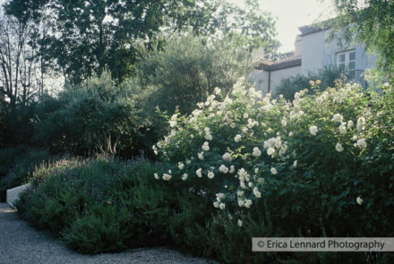 Nancy Meyer, Mediterranean