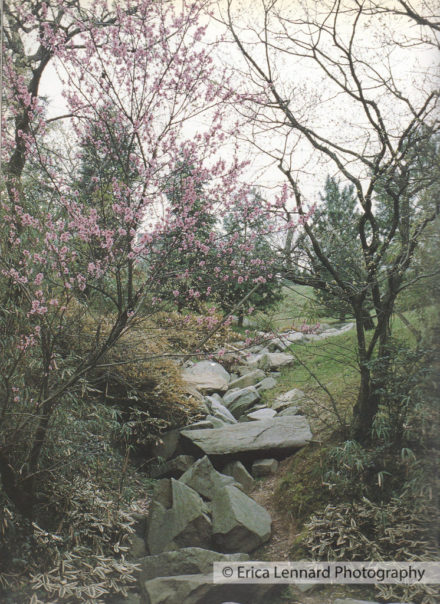 Noguchi