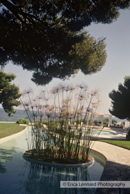 Oscar Niemeyer Garden, Villa Brazilia, Cote D'Azur