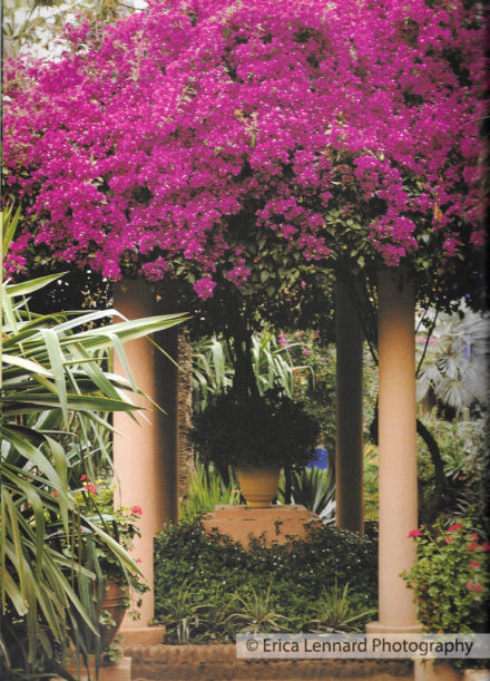 majorelle saint Laurent