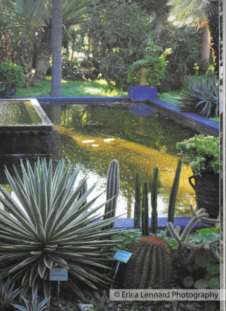 Marjorelle