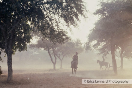Polo Grounds, Delhi
