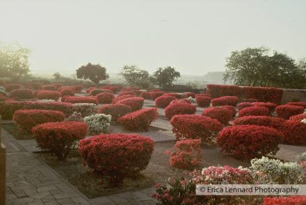 Jodphur Umaid bhawan Palace Garden