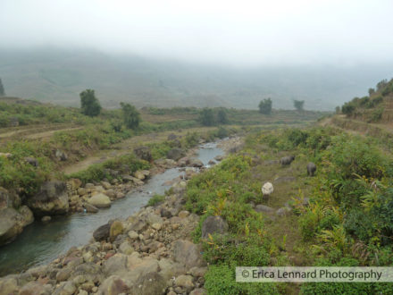 paysage near black hmong village