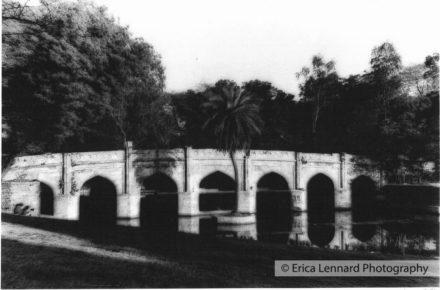 lodi gardens