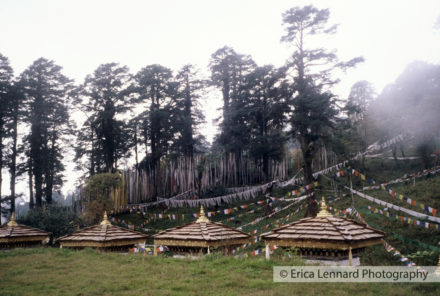 bhutan
