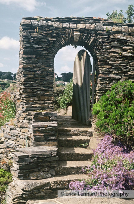 british garden headland cornwall