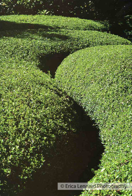 caruncho garden spain