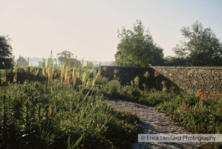 dan pearsons garden