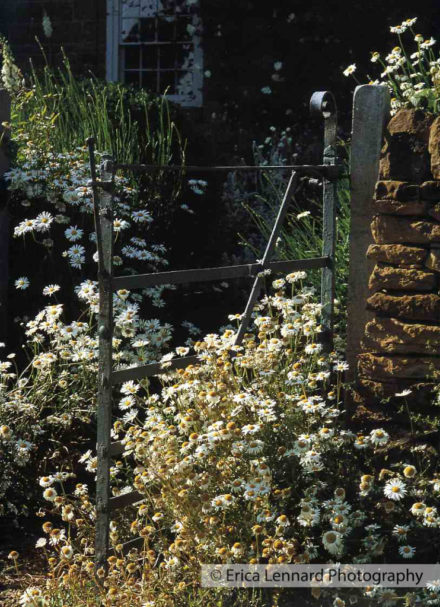 dan pearsons garden
