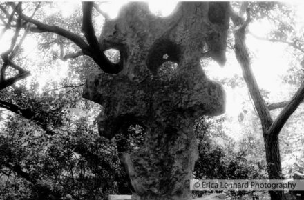 chinese gardens