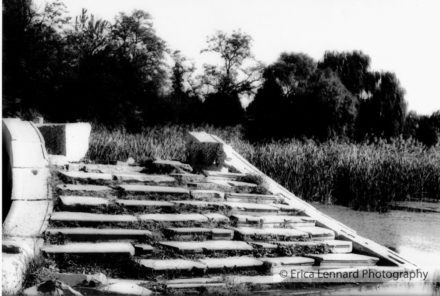 old summer palace
