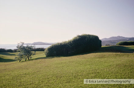 garden of shapes, sardinia