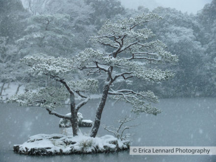 ginkaku-ji