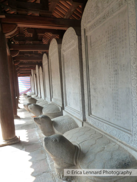 hanoi, temple of literature sacred turtles