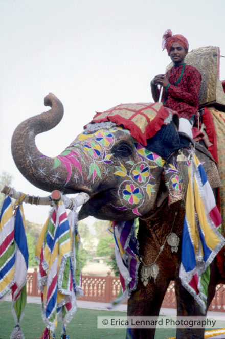 Jaipur