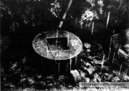 japanese gardens
