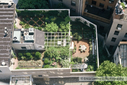 jennifer bartlett cox madison rooftop garden, new york city