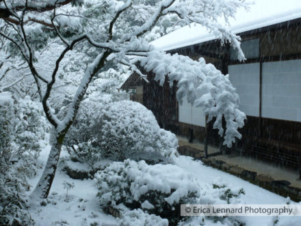 kyoto garden in the snow