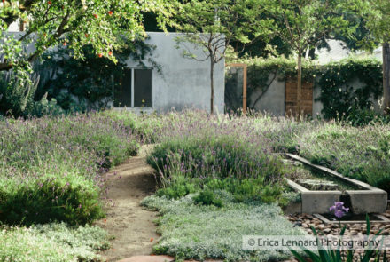 nancy goslee power's garden