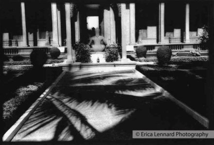 phohm phen garden