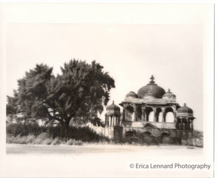 ranthambore india