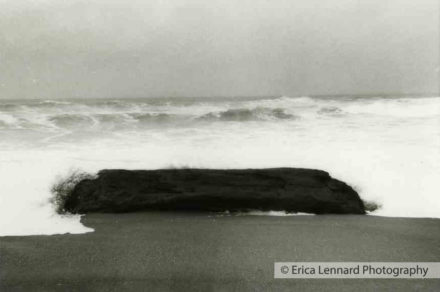 seascapes manchester beach