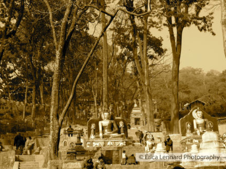 swyambu, monkey temple